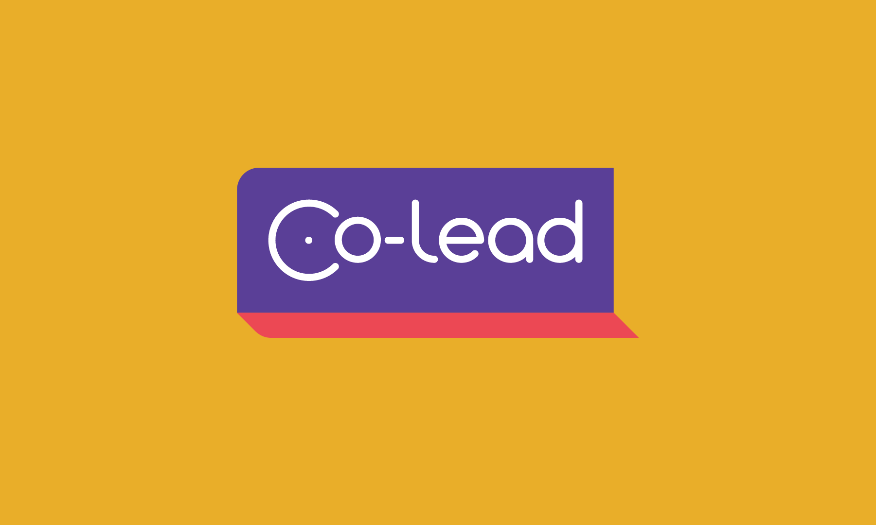 Co-Lead – Strengthening Community Leadership for Decentralised Access ...