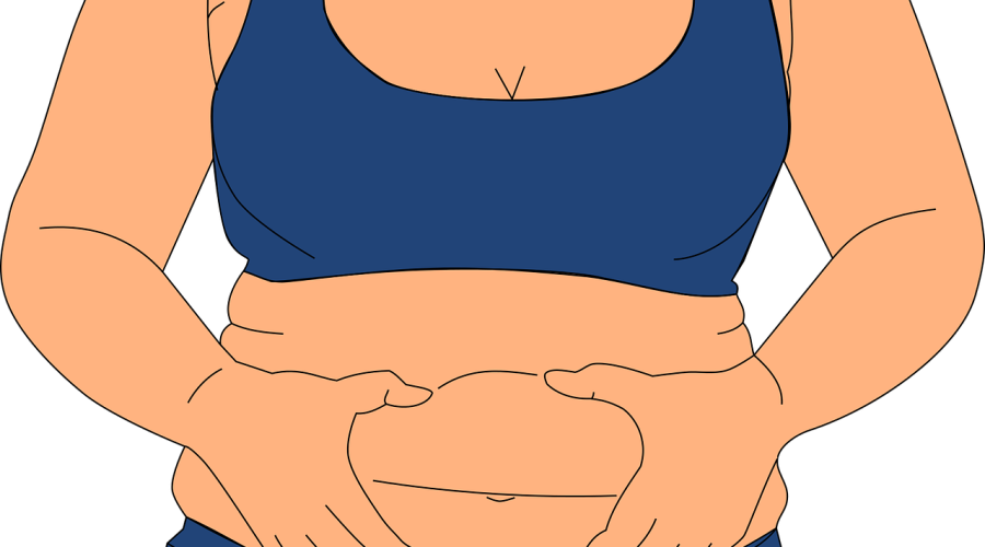 obesity, fatness, love handles