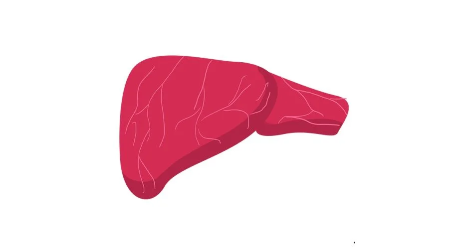 kentucky semaglutide gastric stasis lawyer Ozempic Lawyer in Kentucky