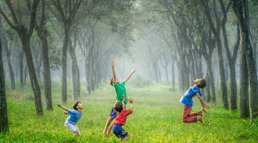 four boy playing ball on green grass