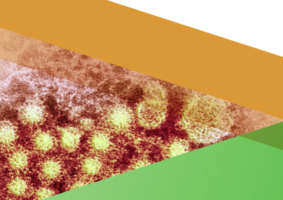 High burden of hepatitis B and C persists in the EU/EEA | EATG