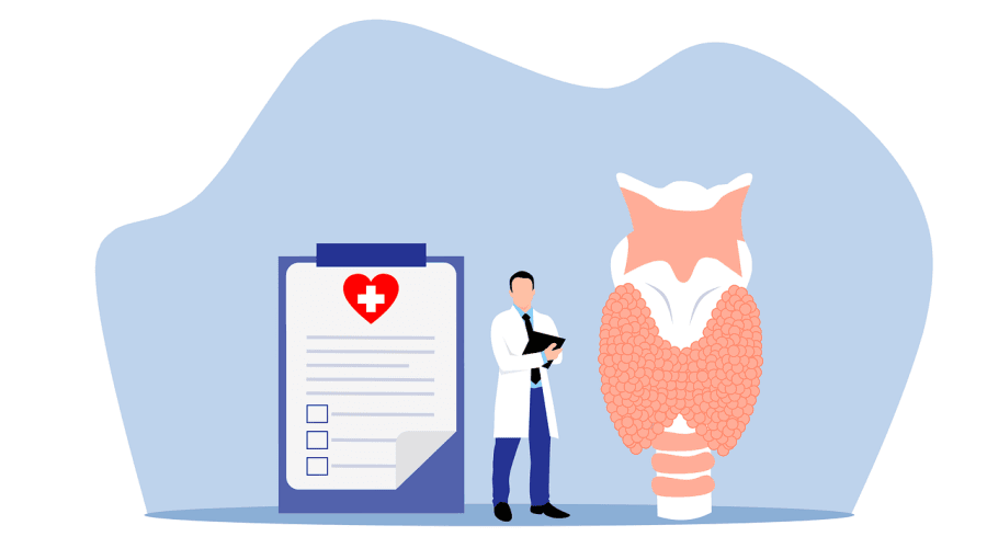 endocrinologist, thyroid, gland