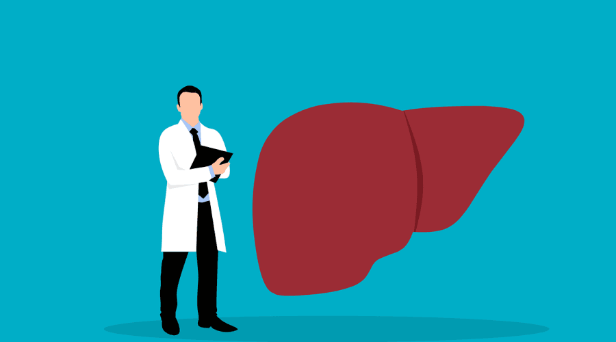 liver, internal medicine, doctor, healthcare, anatomy, health, medicine, liver, liver, liver, liver, liver