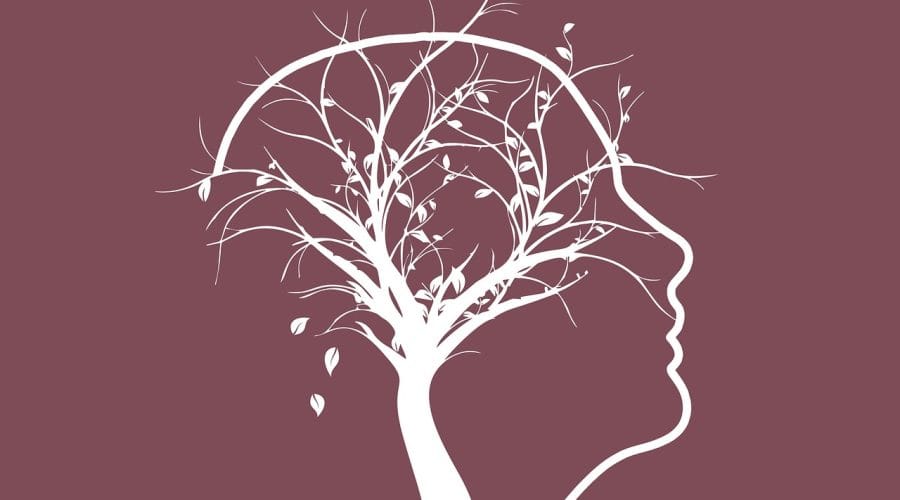 tree, memory, dementia, alzheimer's, leaves, old, constant, human, retirement home, old people's home, maintenance, dependent, need of care, disease, health, think, seniors, calcification, fear, nature, face, forgetfulness, mental disorder